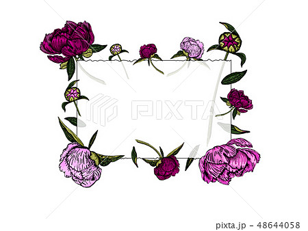 Colorful pink peony flowers frame, hand drawn. Colorful pink peony flowers frame, hand drawn. 48644058