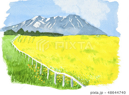小岩井菜の花ロード 48644740
