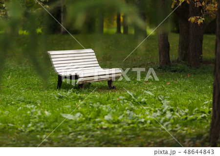 Bench in the park on a background of green grass. Bench in the park on a background of green grass. 48644843