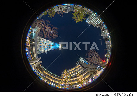 見上げる夜空 48645238