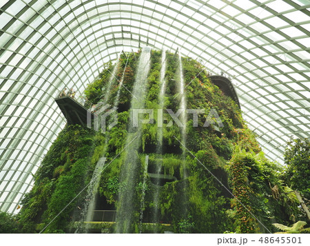 ガーデンズ・バイ・ザ・ベイ  クラウド・フォレスト 48645501