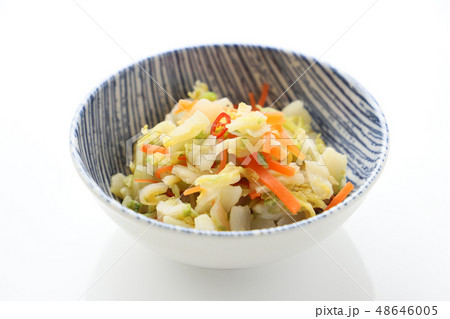 白菜のおしんこ 白菜のおしんこ 48646005