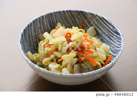 白菜のおしんこ 白菜のおしんこ 48646012