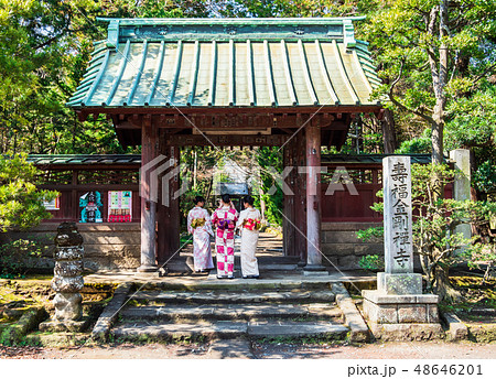 鎌倉　寿福寺 48646201