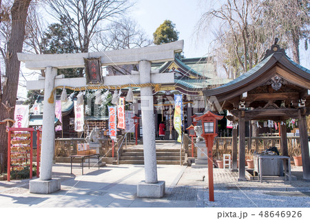 川越市 川越八幡宮 川越市 川越八幡宮 48646926