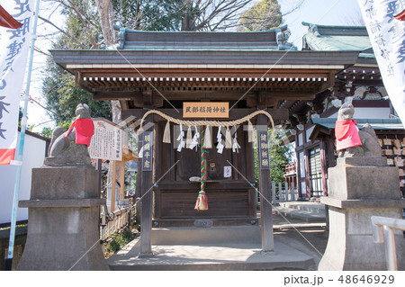 川越市 川越八幡宮 民部稲荷神社(みんべいなりじんじゃ)又は相撲稲荷 川越市 川越八幡宮 民部稲荷神社(みんべいなりじんじゃ)又は相撲稲荷 48646929