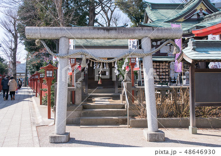 川越市 川越八幡宮 民部稲荷神社(みんべいなりじんじゃ)又は相撲稲荷 川越市 川越八幡宮 民部稲荷神社(みんべいなりじんじゃ)又は相撲稲荷 48646930
