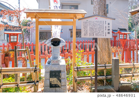 川越市 川越八幡宮 境内の目の神様 川越市 川越八幡宮 境内の目の神様 48646931