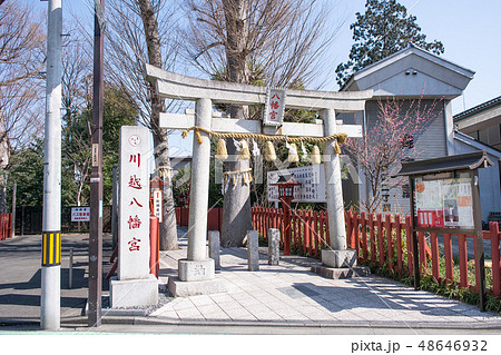 川越市　川越八幡宮　裏参道の鳥居 48646932