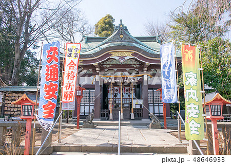 川越市　葉書の木（拝殿右）がある川越八幡宮　 48646933