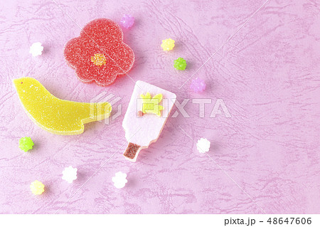 和菓子 和菓子 48647606