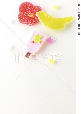 和菓子 和菓子 48647716