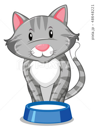 A Grey Cat With Food Trayのイラスト素材