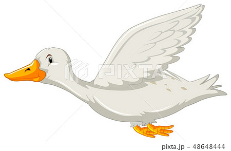 A Flying Duck On White Backgrounfのイラスト素材