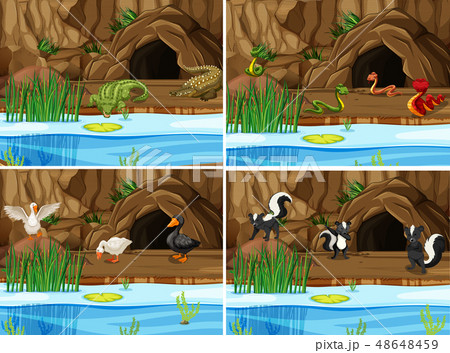 Set of nature swamp and animals Set of nature swamp and animals 48648459