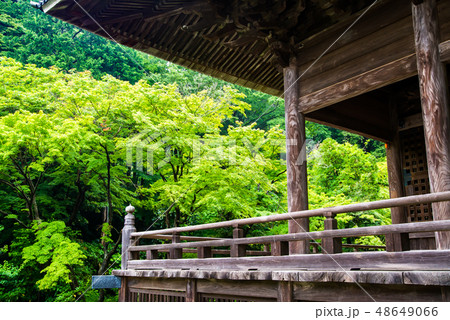 鎌倉 妙本寺 新緑の祖師堂 48649066