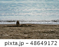 懐かしの砂のお山 48649172