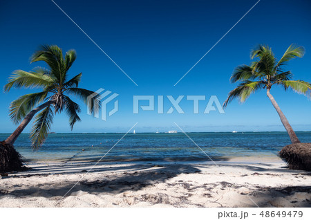 Two coconut palm trees on tropical beach Two coconut palm trees on tropical beach 48649479