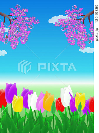 花のある風景 春 チューリップと桜のイラスト素材