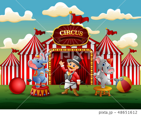 Circus show with trainer and two elephants Circus show with trainer and two elephants 48651612