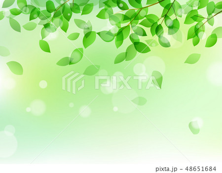 新緑と木漏れ日イメージ 背景素材のイラスト素材