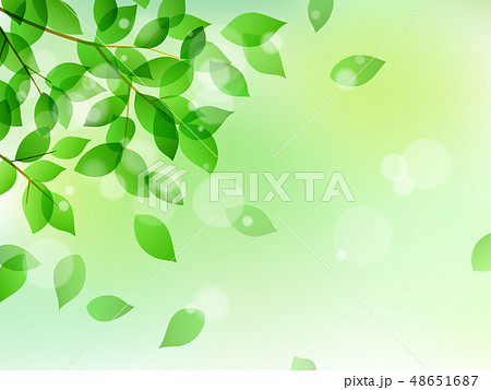 新緑と木漏れ日イメージ 背景素材のイラスト素材