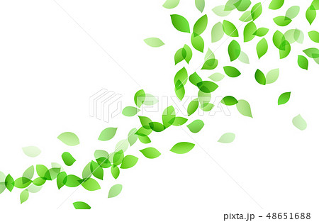 舞う木の葉イメージ 背景素材のイラスト素材