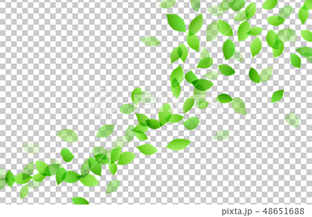 Leaves of dancing trees background material 48651688