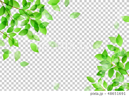 新緑と舞う木の葉イメージ 背景素材のイラスト素材