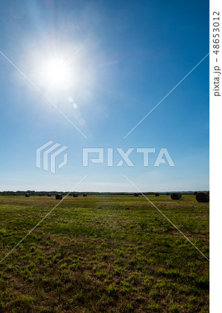 Hay bale. Agriculture field with bright sun in the Hay bale. Agriculture field with bright sun in the 48653012