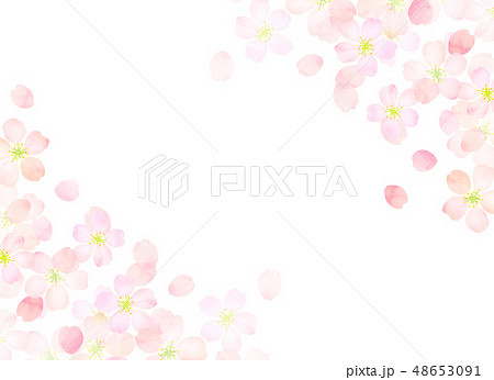 桜 水彩風 テクスチャーのイラスト素材