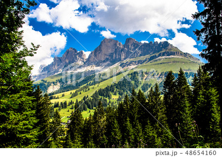 The Latemar, a mountain in the Italian Dolomites The Latemar, a mountain in the Italian Dolomites 48654160