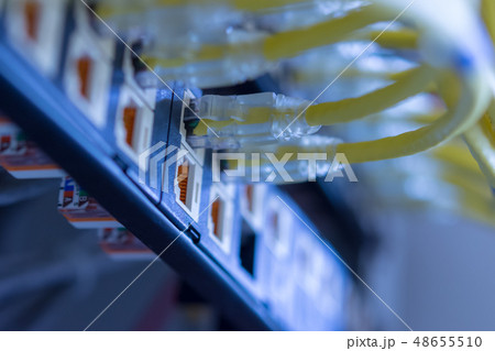 Yellow UTP cables connected on patch panel Yellow UTP cables connected on patch panel 48655510