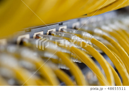 Yellow UTP cables connected on patch panel 48655511
