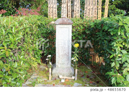 常照寺 秋 常照寺 秋 48655670