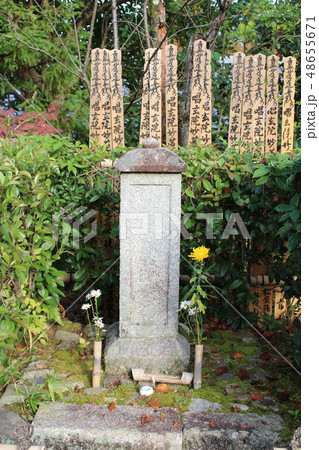 常照寺　秋　　　　 48655671