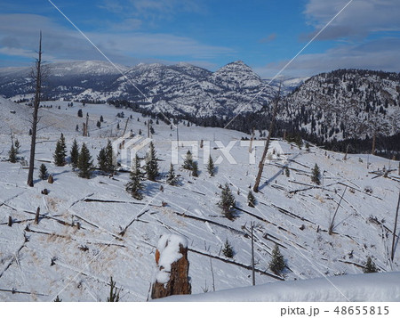 雪景色 雪景色 48655815