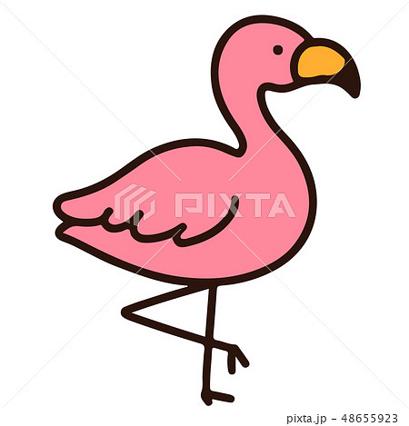 Simple And Cute Flamingo Illustration With Main Stock Illustration