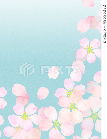 桜　水彩風　テクスチャー 48656222