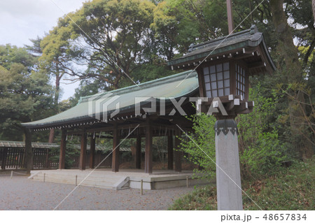 Meiji Shinto Japanese temple in Shibuya Japan 48657834