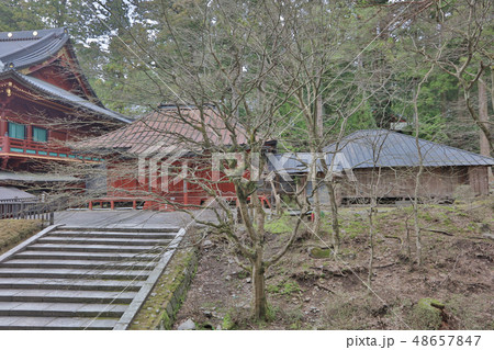 the area of Rinnoji Temple at 2016 the area of Rinnoji Temple at 2016 48657847