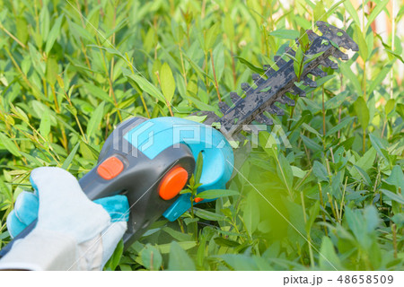 Hand with garden battery shears Hand with garden battery shears 48658509