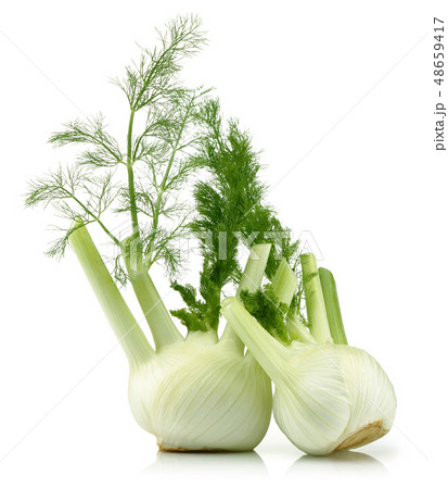 Fresh fennel bulbs with leaves isolated on white Fresh fennel bulbs with leaves isolated on white 48659417