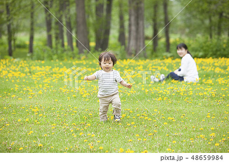 たんぽぽ畑で遊ぶ親子 48659984