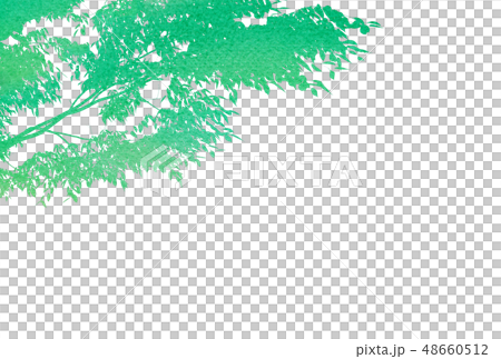 Fresh green water color Fresh green water color 48660512