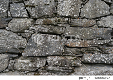 Texture of masonry Texture of masonry 48660852