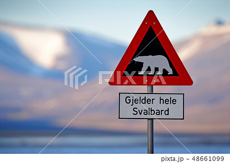 Red road traffic sign with Polar bear Red road traffic sign with Polar bear 48661099