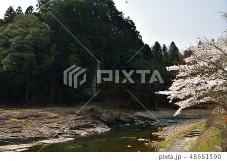 大野寺より 大野寺より 48661590