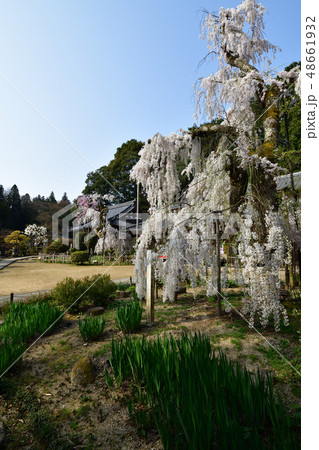 大野寺より 48661932