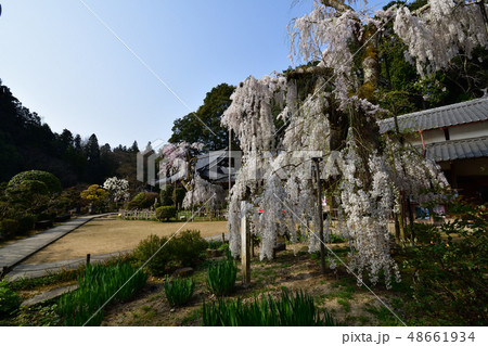 大野寺より 48661934